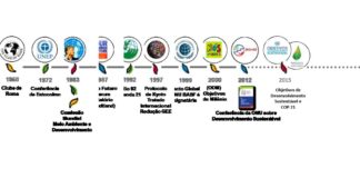 Compras sustentáveis como estratégia para impulsionar a sustentabilidade e reduzir riscos em setores produtivos