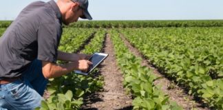 Agronegócio brasileiro busca novas tecnologias