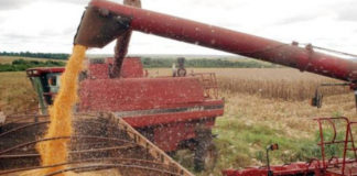 Agronegócio precisa ser pensado de forma sustentável