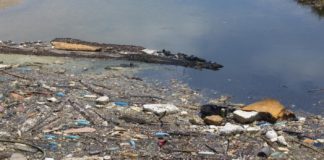 Material Técnico – A Despoluição dos Rios