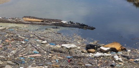 Material Técnico – A Despoluição dos Rios