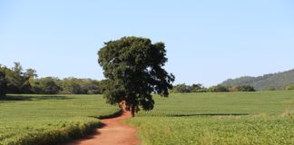 IE NA MÍDIA – A grande oportunidade brasileira do século 21