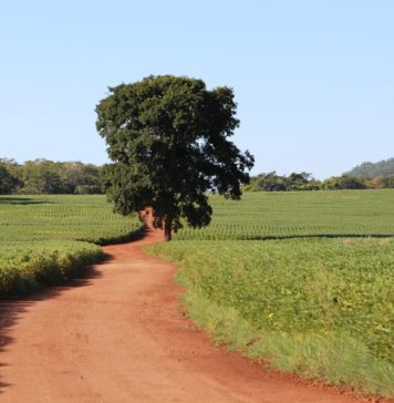 IE NA MÍDIA – A grande oportunidade brasileira do século 21