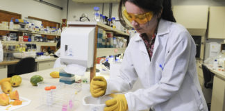 Garotas do ensino médio podem conhecer como é a vida de uma cientista