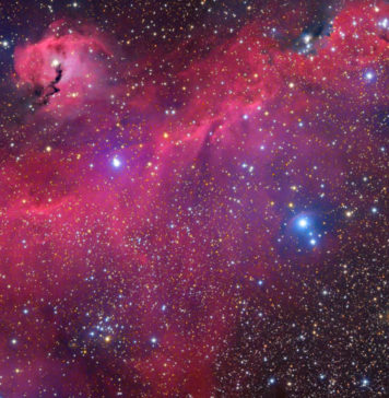 Explosões de supernovas revelam origem de concha estelar gigante