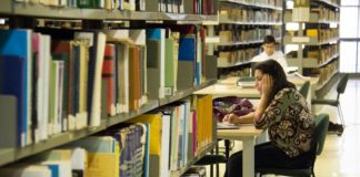 Capes apoiará dez pesquisas em parceria com outros países