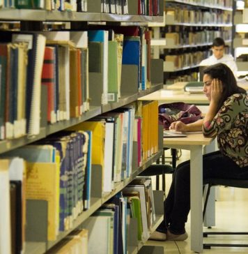 Capes apoiará dez pesquisas em parceria com outros países