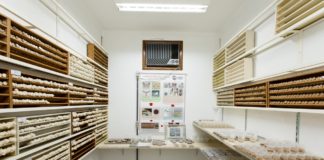 USP prevê desenvolver até 2021 uso de insetos, vírus ou fungos como alternativa ao agrotóxico