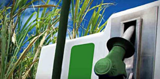 Nova geração de produtores do agronegócio concilia tradição e inovação