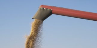 Exportações do Agro batem recorde e superam os US$ 10 bilhões em abril