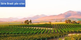 Agropecuária: Impactos e superação na crise