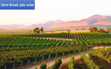 Agropecuária: Impactos e superação na crise