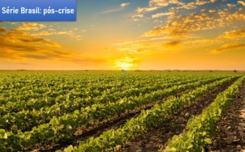 Agronegócio no Mundo – Oportunidades pós-crise Covid-19