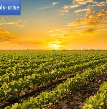 Agronegócio no Mundo – Oportunidades pós-crise Covid-19