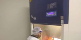 Unesp desenvolve espaço virtual para consulta de estudos sobre COVID-19