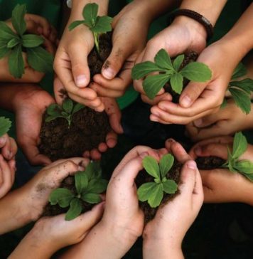 Material Técnico – Preservação ambiental, Sustentabilidade e resíduos plásticos em Ambiente aquático