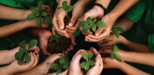 Preservação ambiental, sustentabilidade e resíduos plásticos em ambiente aquático