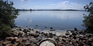 Com aquecimento global, crescimento do país e desperdício, demanda de água no Brasil pode aumentar quase 80% até 2040, aponta estudo