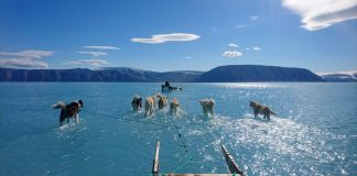 Década de 2010 a 2019 foi a mais quente da história, mostra relatório