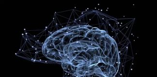 Cadastre-se no projeto de Bolsas do IE para formação de desenvolvedores. Saiba mais!