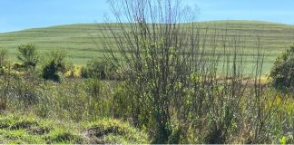 Agricultura integra projeto da Unesp para recuperação ecológica do Aquífero Guarani