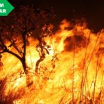 Desmitificando queimadas e incêndios nos cenários ambientais e agrícolas
