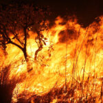 Desmitificando queimadas e incêndios nos cenários ambientais e agrícolas