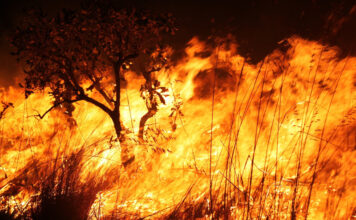 Desmitificando queimadas e incêndios nos cenários ambientais e agrícolas