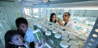 O que fazem e pensam os brasileiros na lista de cientistas mais influentes do mundo