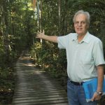 “Savanização da Amazônia já está ocorrendo”, diz Nobre