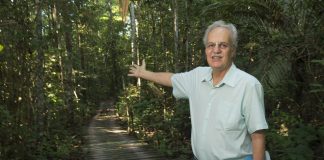 “Savanização da Amazônia já está ocorrendo”, diz Nobre