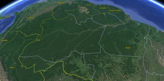 Confira o Caderno Especial: Amazônia e Bioeconomia