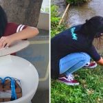 Estudantes brasileiros são premiados em feira internacional de ciências e engenharia