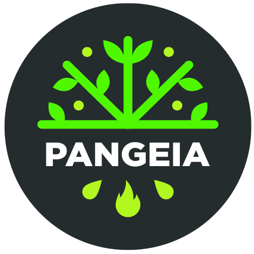 PANGEIA_Logo_500x500