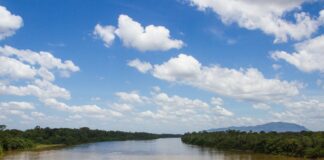 Expedições Amazônia 2021