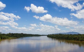 Expedições Amazônia 2021