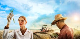 Na agropecuária, acabar com o desmatamento é a principal medida para zerar as emissões