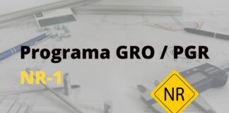PGR – PRO Programa de Gerenciamento de Riscos Ocupacionais