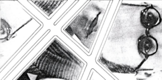 Por Reginaldo A. de Paiva – O esquartejamento do poeta