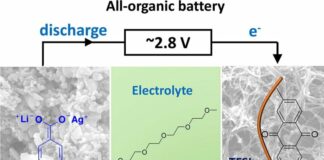 Baterias biodegradáveis, um passo mais perto da realidade
