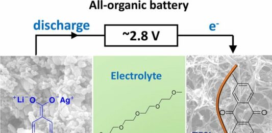 Baterias biodegradáveis, um passo mais perto da realidade