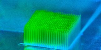 Na casa certa, bactérias convertem 10 vezes mais luz solar em eletricidade