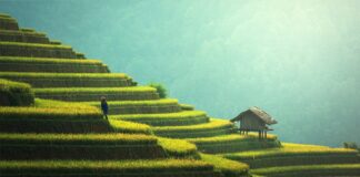 Dez previsões sobre as mudanças climáticas mostram que prazo para agir está se esgotando