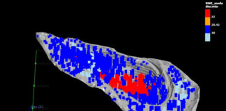 Software do IMPA auxilia no trabalho de mineração