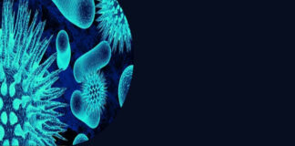 NR-32 – Segurança e saúde no trabalho nos serviços de saúde