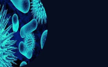 NR-32 – Segurança e saúde no trabalho nos serviços de saúde