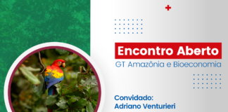 Encontro Aberto GT Amazônia e Bioeconomia
