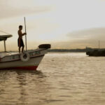 Consolidação de uma base de conhecimento para estratégia nacional de bioeconomia – ESF