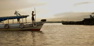 Consolidação de uma base de conhecimento para estratégia nacional de bioeconomia – ESF