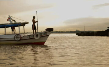 Consolidação de uma base de conhecimento para estratégia nacional de bioeconomia – ESF